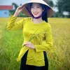 meimei24.1