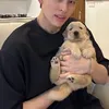 bowcutehaha