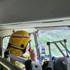 kiwi_lad118