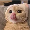 nom_nomnguyen