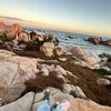 hiu_hiu_24