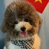 di_pebu