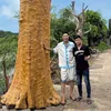 hoangbaolong_lua_decor