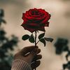 noor.saher35