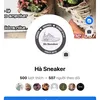 hadecor99