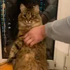 nikita_izmailivo