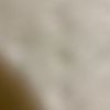 jaidenecarpenter