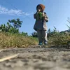bayiboss7