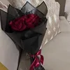 saramzv._