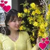 pvhhanh