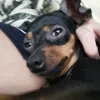 ndkwkqkg