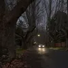 lunattsldm