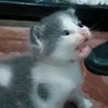 catrinaeepy