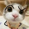 nazaadump