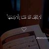 user3973991