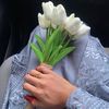 asfasya24