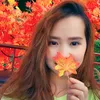 tvlphung