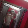 felix_maturano