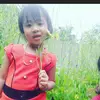 218457650thuytran