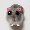 ciipiey