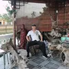 tuanbinh8686