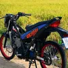 nhannho241222