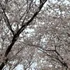 noko__150
