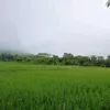 mymotaro2