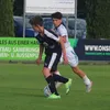 gondosch__10