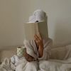 softstatements