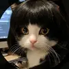 trsbgt99