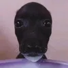 _biuuuuu2