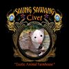 Saung Sawang Exotic pets