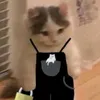 locxuan70