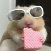 odaychillmotchut_chut