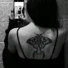 jrosehip