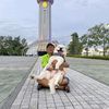 jaray_18