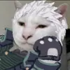 nekovergil01