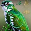 bord_slmony_gogo