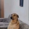 opookkkgggf5