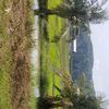 atan9913