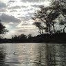 othmansaud