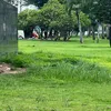 linhmiu1988tiktot
