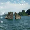 nguyenkim656