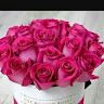 userxke1zqf668