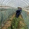 khahlinh_6677028