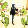 pastiakanadapelangi