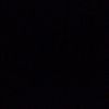 salma_elpadry