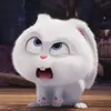 haruharuzxc