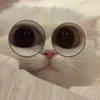 my_1909_